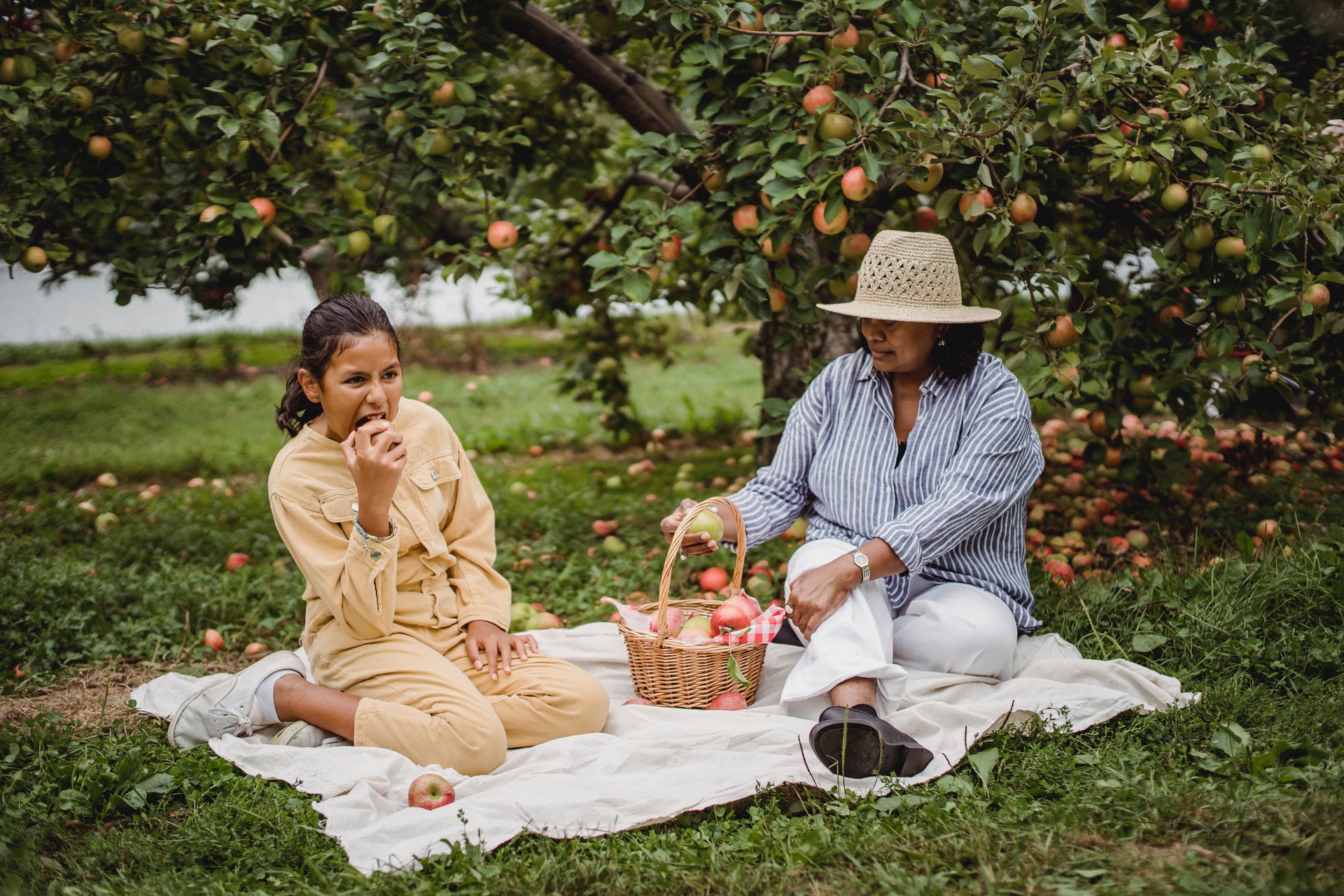 picnic